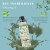 natural-organic-neem-aloe-vera-rejuvenating-shampoo-key-ingredients-naturalezacastile