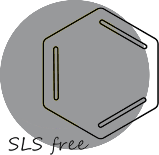 vector-icon-SLS-Free